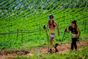 BIB: 
                            <button type="button" onclick="openModal(19164306)" class="btn btn-primary btn-sm float-right btn-popup" data-toggle="modal" data-target=".modal-high-quality">
                        <i class="fas fa-shopping-cart"></i> Add to Cart
                    </button>
                                            <button type="button" onclick="isThisMe(19164306, true)" class="btn btn-success btn-sm float-right btn-popup btn-isme hidden" data-toggle="tooltip" data-placement="bottom" title="นี่คือรูปของคุณใช่ไหม คลิกที่นี่เพื่อเอาเข้าอัลบั้ม">
                        <i class="fas fa-plus"></i> Add to album
                    </button>
                    <button type="button" onclick="isThisMe(19164306, false)" class="btn btn-warning btn-sm float-right btn-popup btn-isnotme hidden">
                        <i class="fas fa-ban"></i> Remove from album
                    </button>